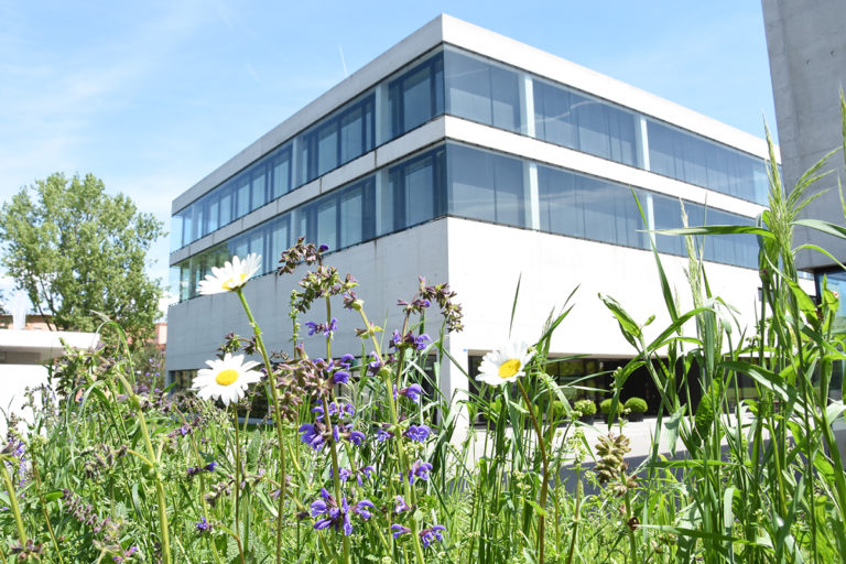 1_7_PHTG_SAM_2113_1200x900px